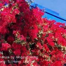 The e-nd of world (F-Chromatic) 이미지