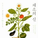 밥한그릇 이미지