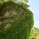 벽계관광지(입구) 이미지