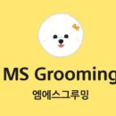 엠에스그루밍 이미지