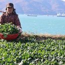 남해-265 이미지