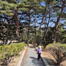 하도대5길 03 | [합천] 해인사 15암자 순례 2026. 3. 26.