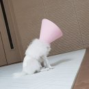 25시 죽곡동물병원 이미지