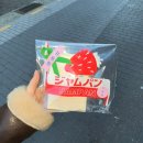 부 산 241228-31
