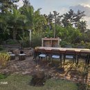 제주하와이 덕수궁 이미지