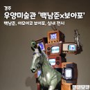 우양의집 | [전시 실전 노트] 경주 &#39;우양미술관&#39; 백남준과 아모아코 보아포의 만남, 여름 전시 후기 관람 팁