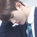 보민