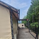 파주힐링캠프 | 5살 아이와 첫 글램핑! 파주 동화힐링캠프 리얼 후기