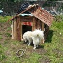 담박굴농장 이미지