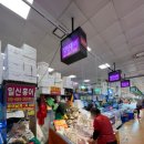 일신 수산 이미지