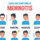 뇌수막염 증상 세균성 예방 이미지