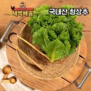 상추 이미지
