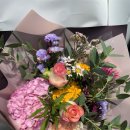 파크 블러썸 이미지