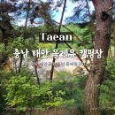 숲속아이 2 | 충남 태안 아이와 연인과 가볼만한 곳 글램핑, 카라반...있는 올레유 캠핑장 오토캠핑 숲속데크 2단지 후기