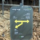정상표시 이미지
