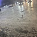 (주)허공 | 개강은 핑계고 12~2월 일상/강릉여행/전공심화 면접/빠수니인데 말 안 예쁨주의/오픽 후기/퇴사