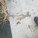 김해농협서김해주유소 이미지