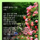 유월에 꿈꾸는 사랑 - 이채 이미지