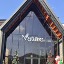 밀양9 | [밀양 카페] 대형 베이커리·동남아풍 카페로 유명한...크리스마스 분위기 가득한 겨울날 재방문후기