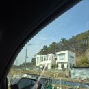 정곡 | [대전 도안] 애견동반 가능한 대전베이커리카페, 투드커피 솔직후기