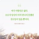 세기닷컴 이미지