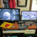 돼지우리 이미지