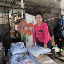 안동동물의료센터 이미지