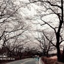 금호로 이미지
