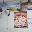 조박사 이미지