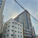 해변하우스 | 부산 게스트하우스 솔게 광안리 해변 파티 후기