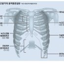 가톨릭마취통증의학과의원 이미지