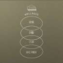 플레이 돔 이미지