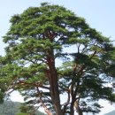 계곡1번지 이미지