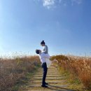 수지 오송한약국 이미지