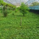 마송농장 이미지