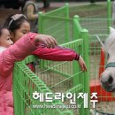 럭키어린이공원 이미지