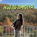 상황 | 2025년 광주 곤지암 화담숲 단풍 현황 실시간 상황 후기 경기도 단풍명소