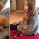 쟈뎅드마망 이미지