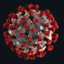 소천약국 이미지