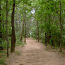 구봉산근린공원 이미지