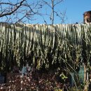 바우길 6구간 이미지