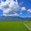 길목식당민박 이미지