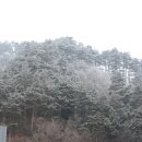 동해파크 이미지