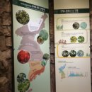 불갑사 산림박물관 이미지