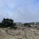서귀포산업과학고등학교 | 한라산 어리목~영실 코스 후기(feat. 돈내코 코스)