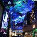 인스파이어 이미지