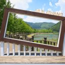 5월31일(토)괴산 여행투어(화양구곡-문광호수길)/마감 이미지