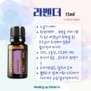 도란도란 그림책 제작기 | 그림책으로 피어나는 엄마들의 성장 마인드셋, 하마모 맘앤미 첫 번째 이야기