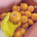 한정농장 이미지