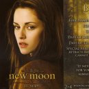 moon trading 네이버블로그